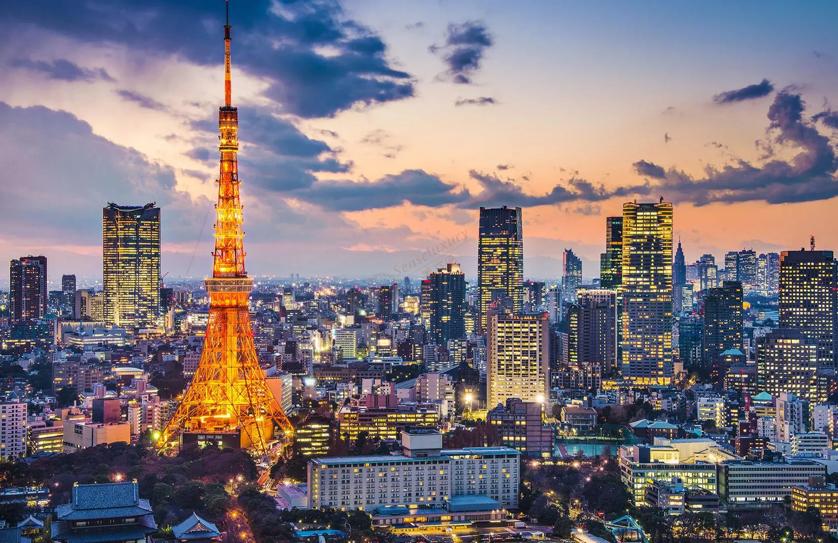 Tokyo Private Day Tour | Sensō-ji Temple, Shibuya, Tokyo Tower